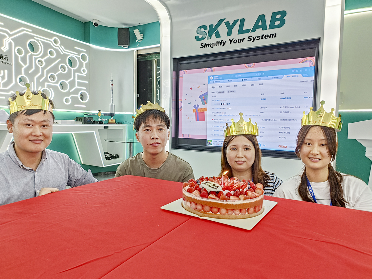 赴一场春日之约|SKYLAB 2023年第一季度生日会、迎新会